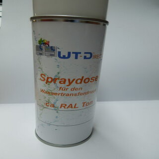 Spraydose Schwarz RAL 9005