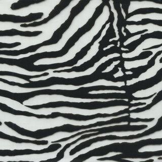 Zebra Muster I-100-1 Wassertransferdruckfilm