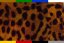 Gepard mit gelben Hintergrund I-141
