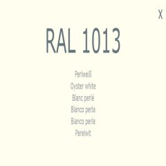 1-K Base Coat RAL 1013 Perlweiß