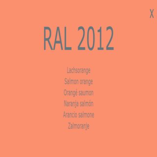 Farbe - Lack RAL 2012 Lachsorange 1-K Base Coat