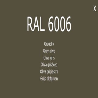 1-K Base Coat RAL 6006 Grauoliv