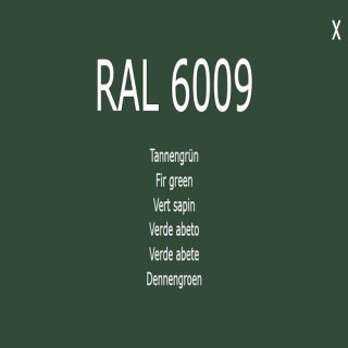 1-K Base Coat RAL 6009 Tannengr&uuml;n
