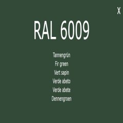 Farbe - Lack RAL 6009 Tannengrün 1-K Base Coat