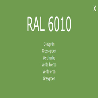 1-K Base Coat RAL 6010 Grasgr&uuml;n 5 Liter
