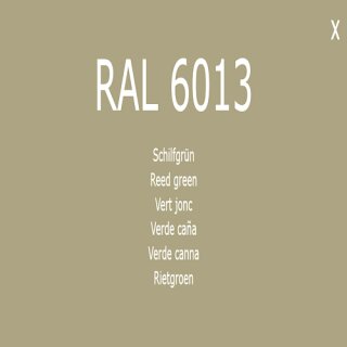 1-K Base Coat RAL 6013 Schilfgr&uuml;n 1 Liter
