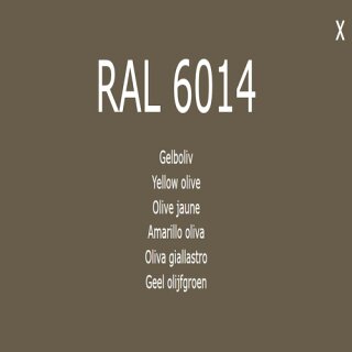 1-K Base Coat RAL 6014 Gelbolive 1 Liter