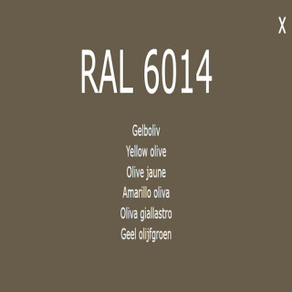 1-K Base Coat RAL 6014 Gelbolive 5 Liter