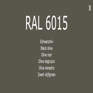 1-K Base Coat RAL 6015 Schwarzolive 5 Liter