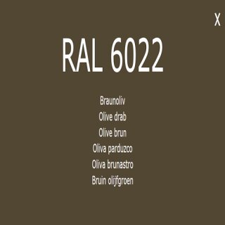 1-K Base Coat RAL 6022 Braunolive 2,5 Liter