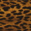 Gepard mit gelben Hintergrund I-141 Starterset Gross in 50 cm Breite