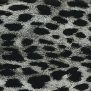 Gepard ohne gelben Hintergrund I-141-3 Starterset Klein in 50 cm Breite