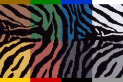 Zebra Muster mit Braun I-100 Starterset Klein in 50 cm Breite