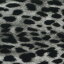 Gepard ohne gelben Hintergrund I-141-3 in 50 cm Breite